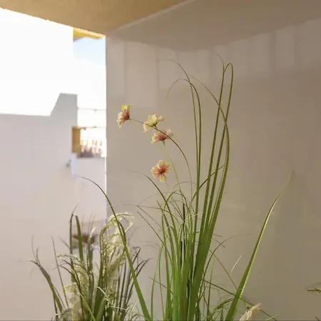 Apartment Near Playa De Bajondillo *